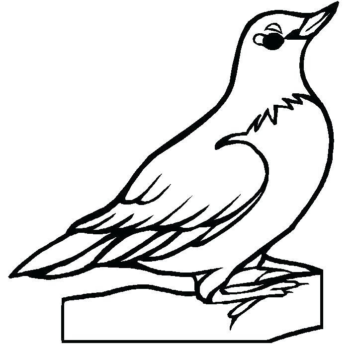 718x693 Learn To Draw Cartoon Bird Very Simple In Few Easy Steps Outline - Bird Outline Drawing