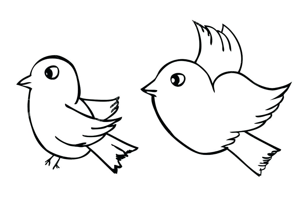 1024x682 Outline Dove And Heart Tattoo Tattoo Outline Dove And Heart - Bird Outline Drawing