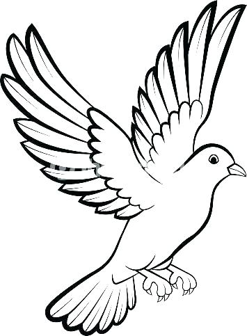 Bird Outline Drawing at PaintingValley.com | Explore collection of Bird ...