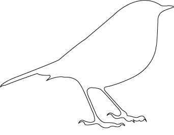 342x265 Bird Outline - Bird Outline Drawing