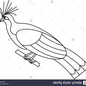 300x300 bird outline drawing sohadacouri - Bird Outline Drawing