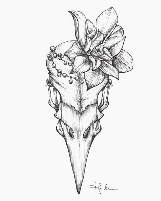 560x700 Bird Skull Succulents Fine Art Print Kindra Keitel - Bird Skull Drawing