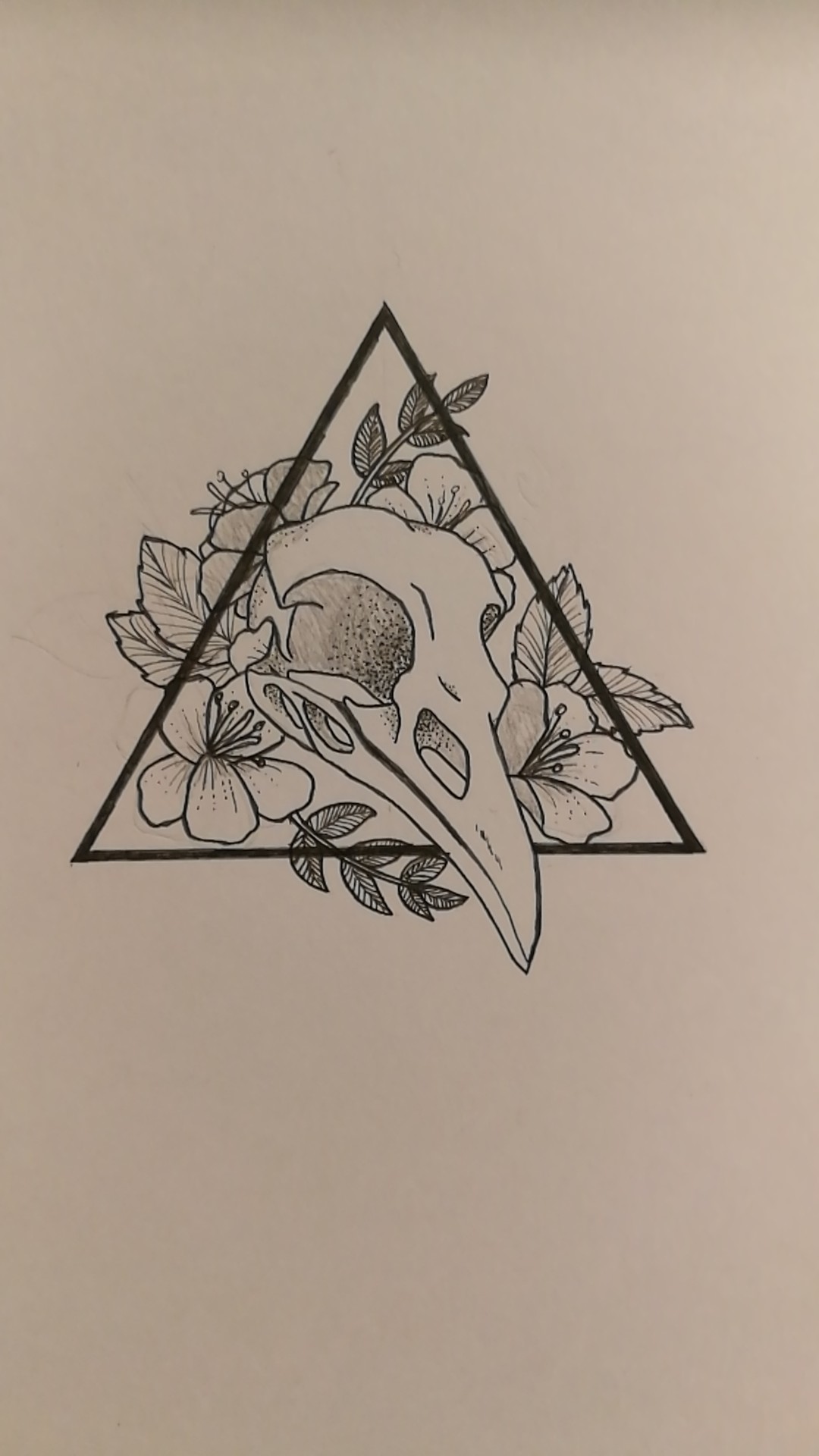 1080x1920 Bird Skull Drawing! - Bird Skull Drawing