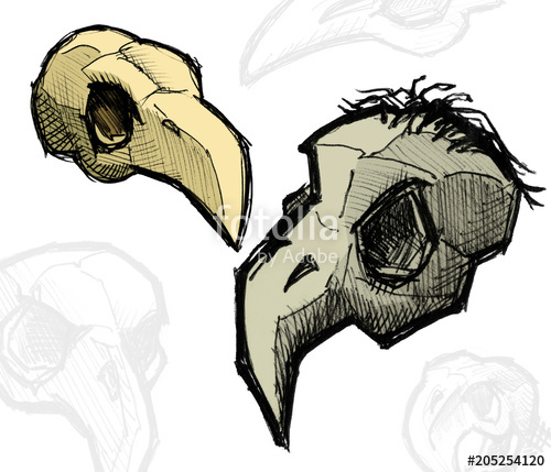 500x429 Bird Skull Illustration Hand Drawing Stock Photo And Royalty Free - Bird Skull Drawing