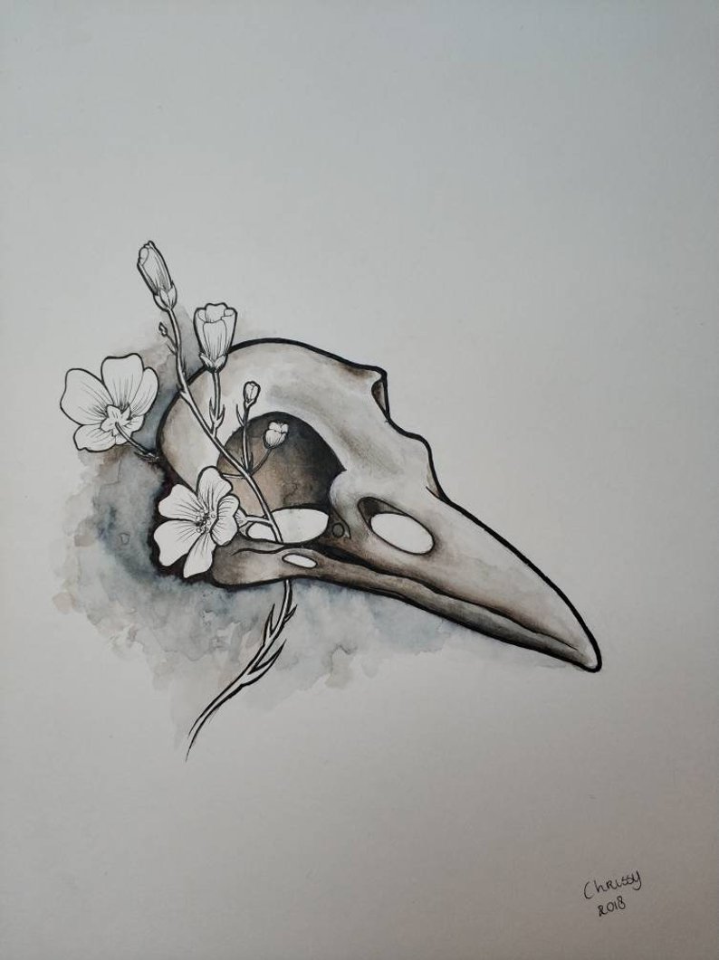 794x1061 Bird Skull Original Piece Of Art Drawing Bird Skull With Etsy - Bird Skull Drawing