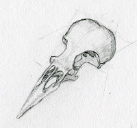 200x187 O, Sweet Nature Bird Skull Drawing - Bird Skull Drawing