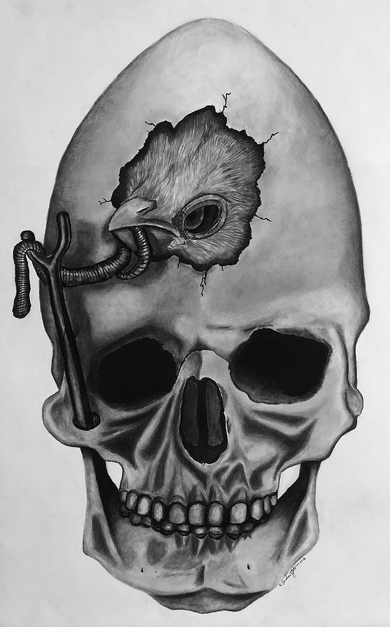560x900 Bird Skull, Tribute To Dali Drawing - Bird Skull Drawing