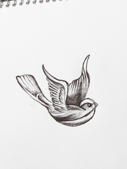 500x667 Bird Drawing Discovered - Bird Tattoo Drawing