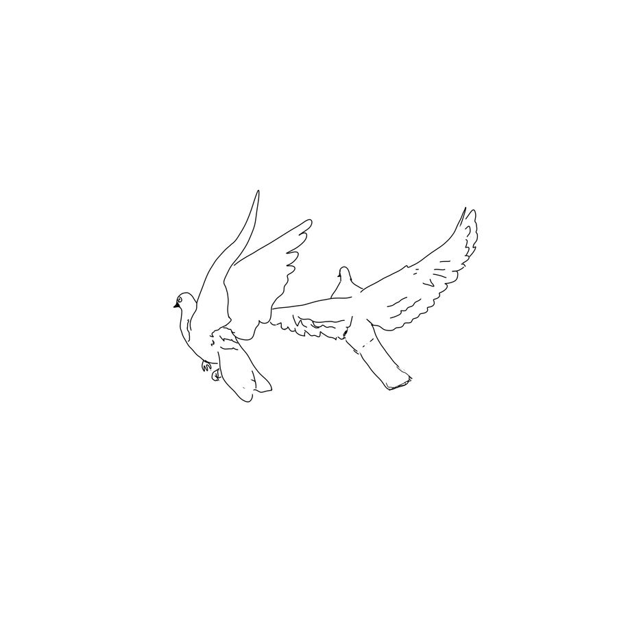 900x900 Entry - Bird Tattoo Drawing