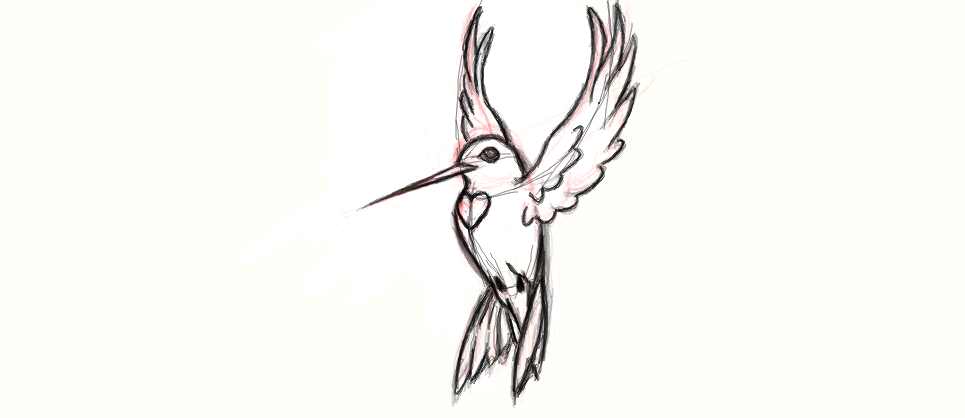 965x418 humming bird tattoo idea - Bird Tattoo Drawing
