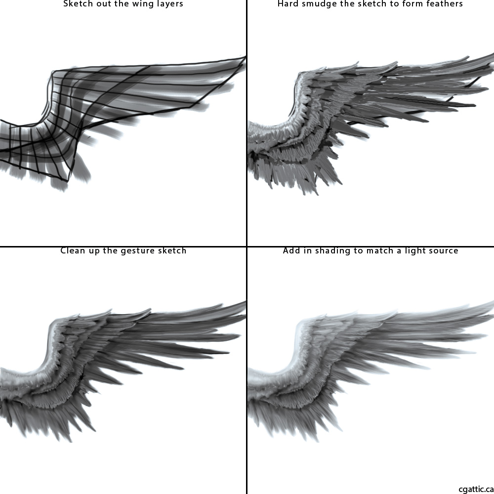 1000x1000 How To Draw Angel Wings In Steps With Photoshop - Bird Wings Drawing