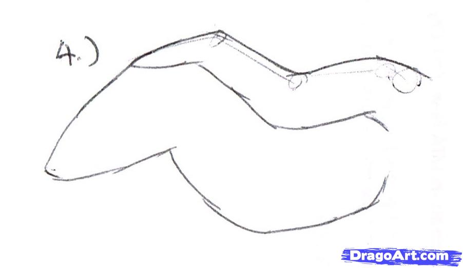 902x523 How To Draw A Simple Bird Wing, Step - Bird Wings Drawing