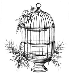 Birdcage Drawing