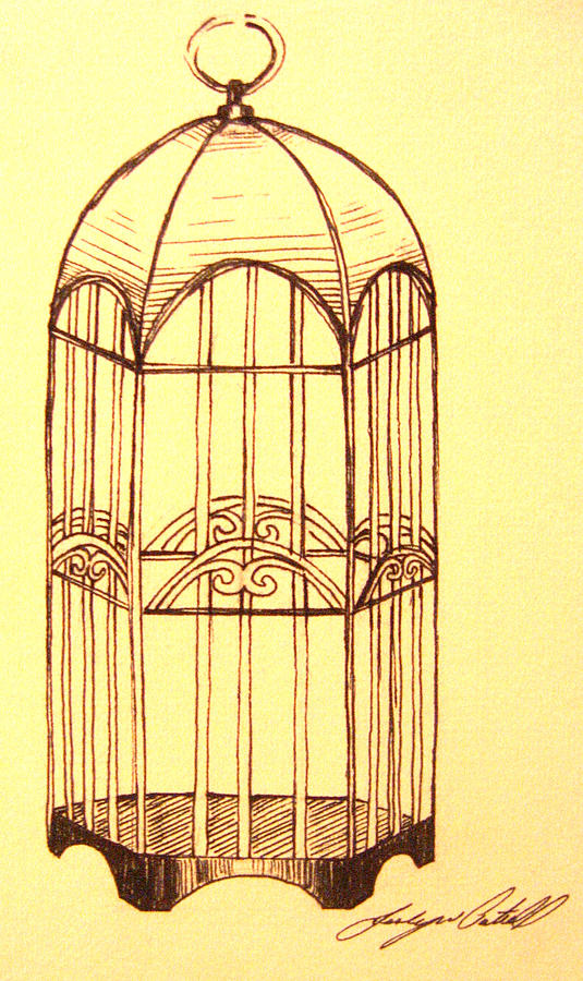 535x900 birdcage v drawing - Birdcage Drawing