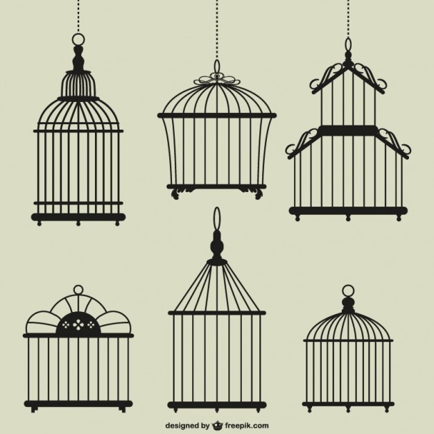 626x626 birdcage vectors, photos and free download - Birdcage Drawing