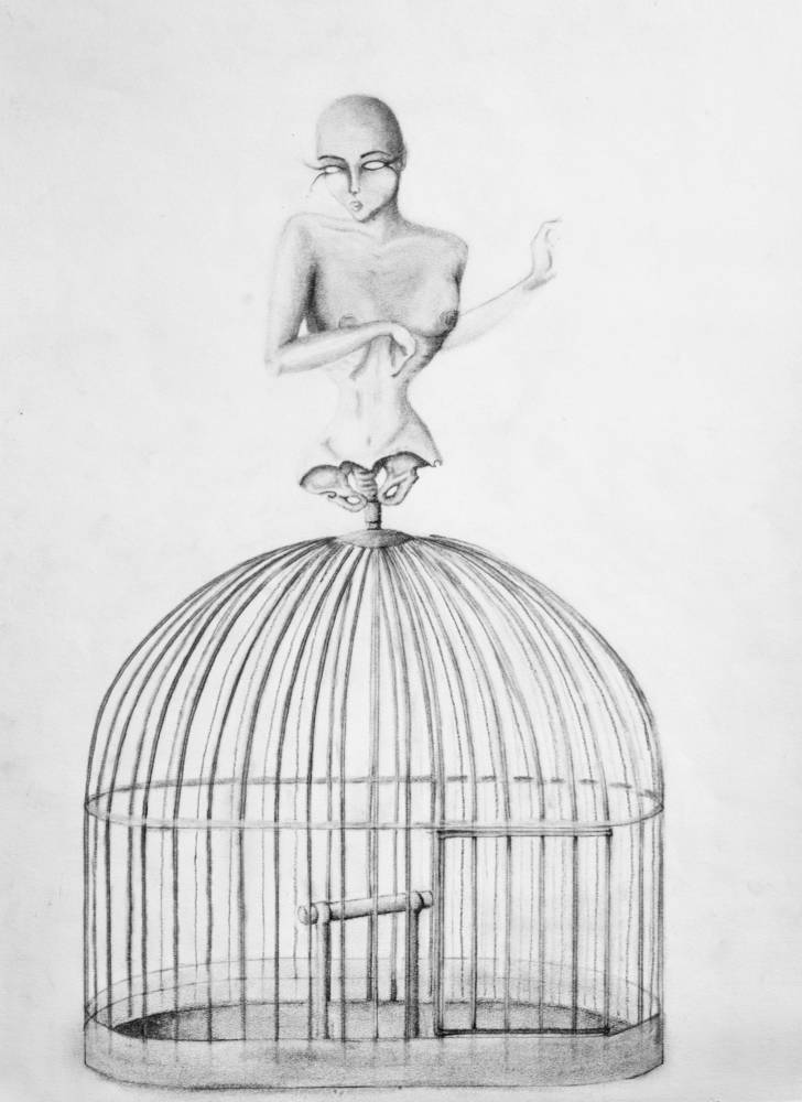 728x1000 birdcage - Birdcage Drawing