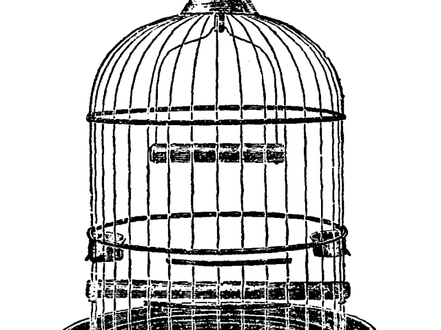 640x480 drawn birdcage free clip art stock illustrations - Birdcage Drawing