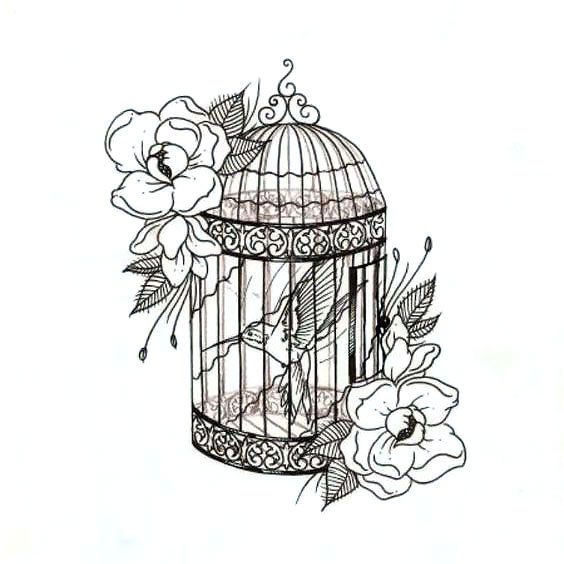 564x564 huge collection of 'open birdcage drawing' download more than - Birdcage Drawing