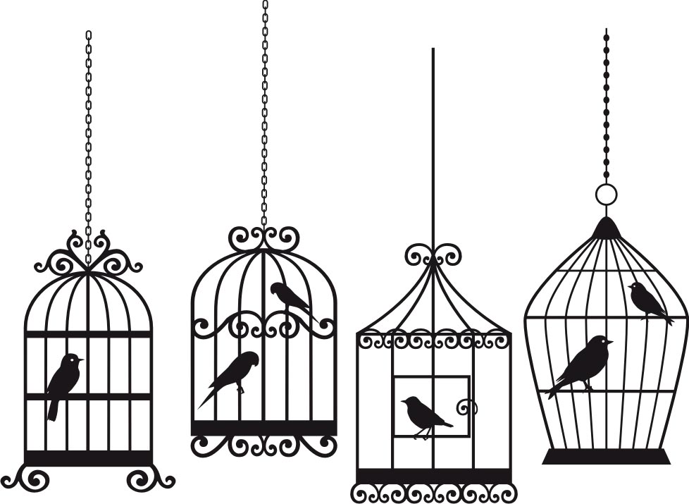 978x715 bird cage line drawing birdcage design ideas - Birdcage Drawing
