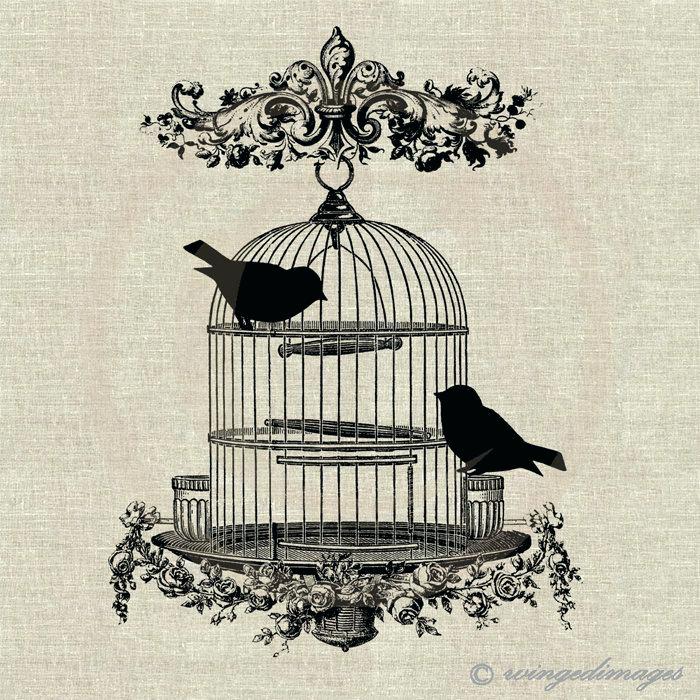 700x700 vintage birdcage for wedding cards bird cage old fashioned tattoo - Birdcage Drawing