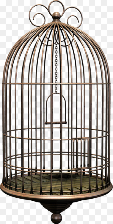380x750 birdcage drawing art cc0 - Birdcage Drawing