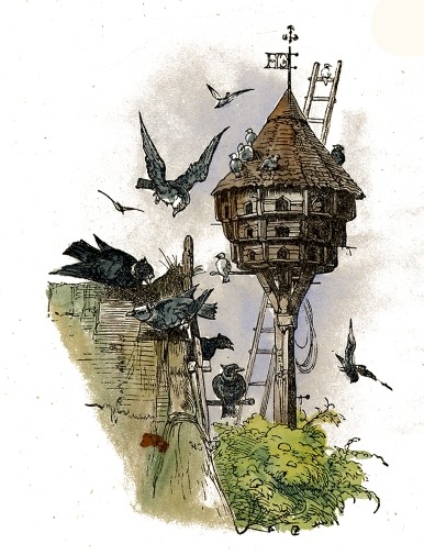 386x505 Birdhouse Drawing - Birdhouse Drawing