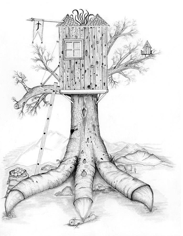 698x900 Birdhouse Drawing - Birdhouse Drawing