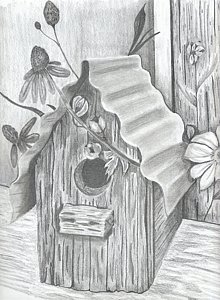 220x300 Birdhouse Drawings Fine Art America - Birdhouse Drawing