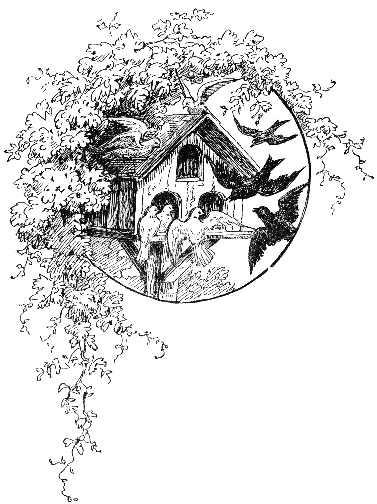 377x504 Black White Bird House - Birdhouse Drawing