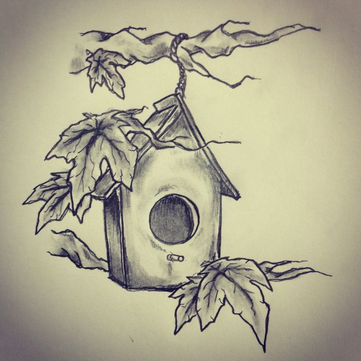736x736 Birdhouse Drawing - Birdhouse Drawing