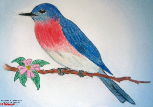 Birds Drawing For Colouring at PaintingValley.com | Explore collection ...