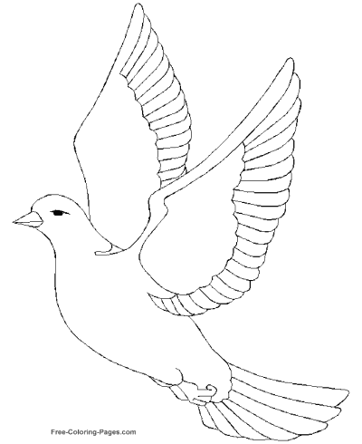 400x490 Coloring Pages Of Birds - Birds Drawing For Colouring