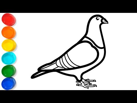 480x360 Download How To Draw And Colour Cute Birds Drawing And Colouring - Birds Drawing For Colouring