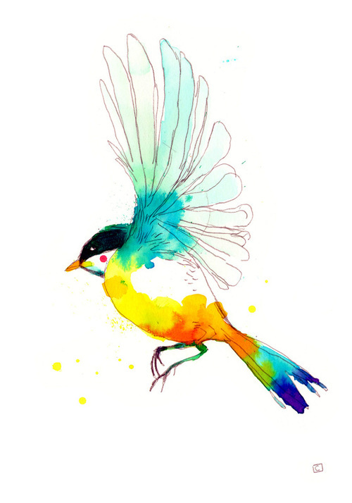 500x714 Flying Birds Drawing Color - Birds Drawing For Colouring
