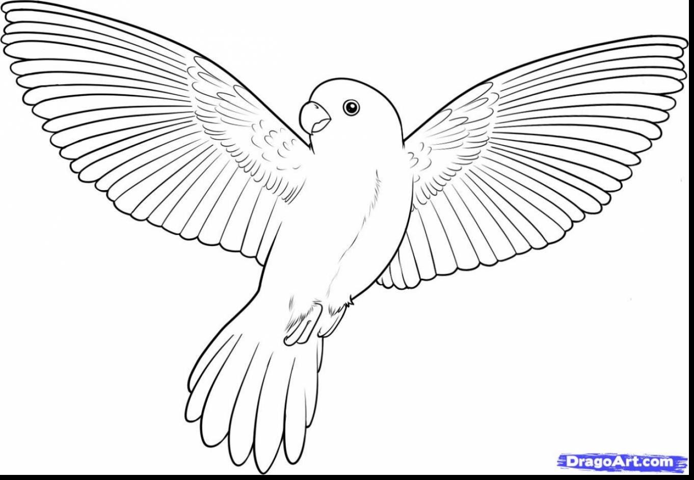 5400 Exotic Bird Coloring Pages Pictures