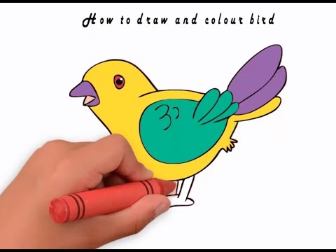 480x360 How To Draw And Colour Bird Learn To Draw Bird - Birds Drawing For Colouring