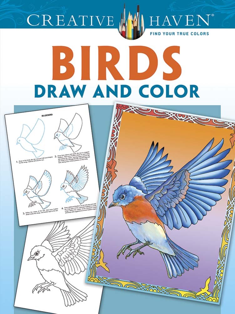 751x1000 Creative Haven Birds Draw And Color - Birds Drawing For Colouring