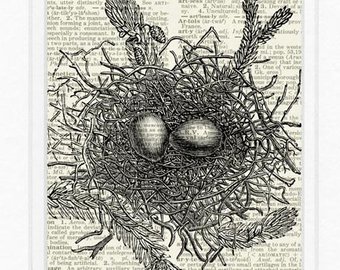 340x270 Bird Nest Drawing Etsy - Birds Nest Drawing