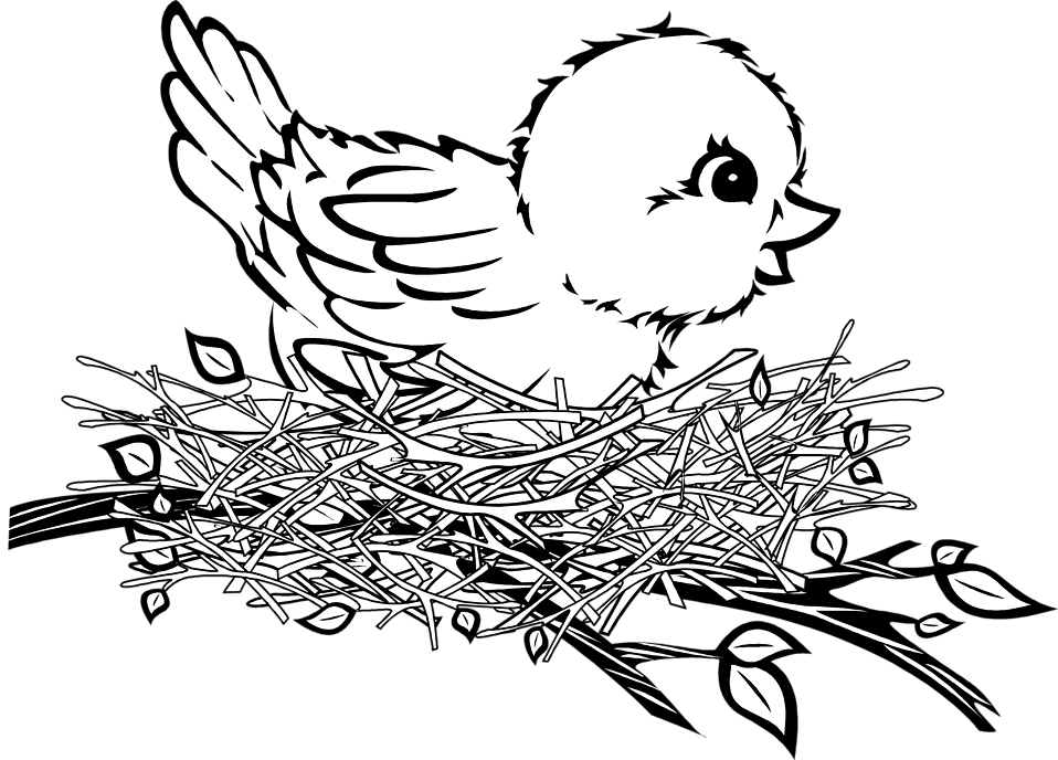 958x688 Cartoon Birds Nest - Birds Nest Drawing