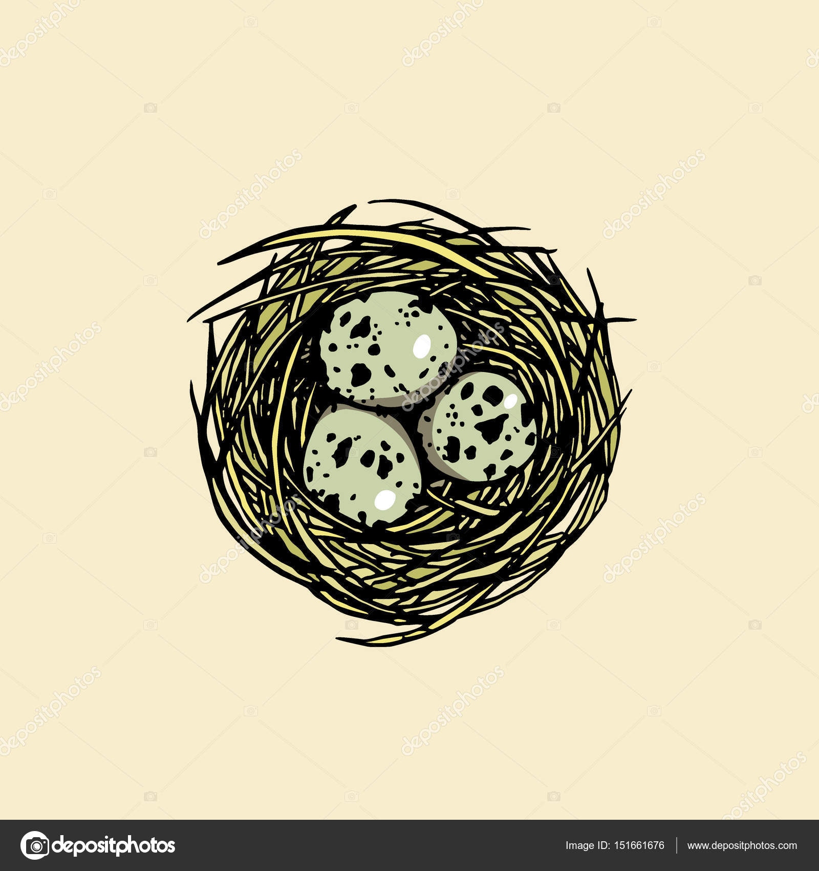 Гнездо с яйцами вектор