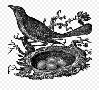400x364 Download Free Png Bird Nest Drawing Nest Png Download - Birds Nest Drawing