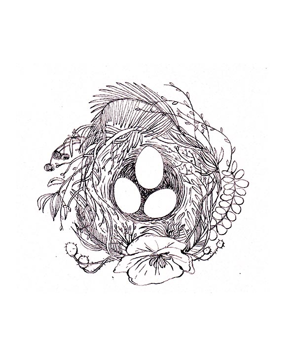 584x715 Drawing Prompt Spring Bobbledy Books - Birds Nest Drawing
