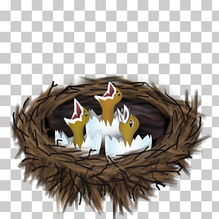 310x310 Cartoon Birds Nest Png Cliparts For Free Download Uihere - Birds Nest Drawing
