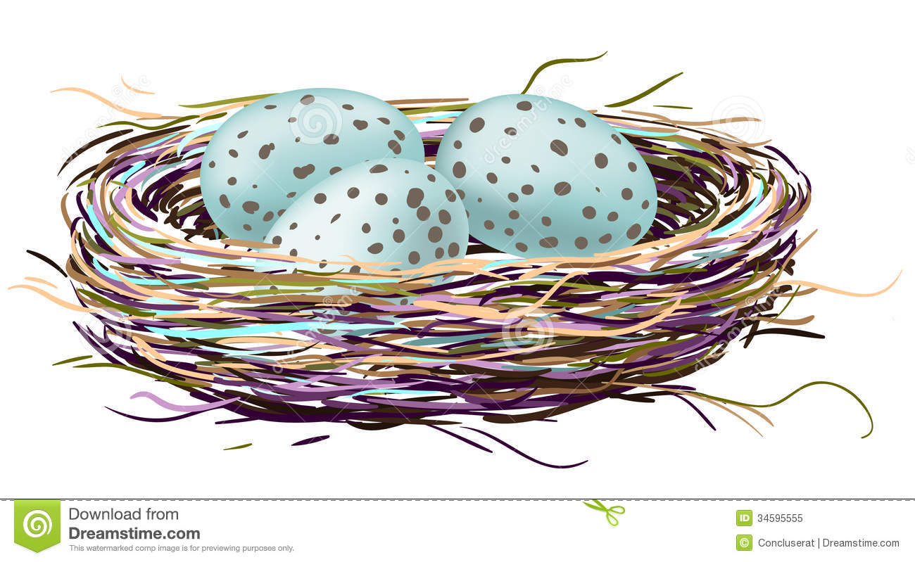 1300x799 Drawn Egg Nest Drawing - Birds Nest Drawing