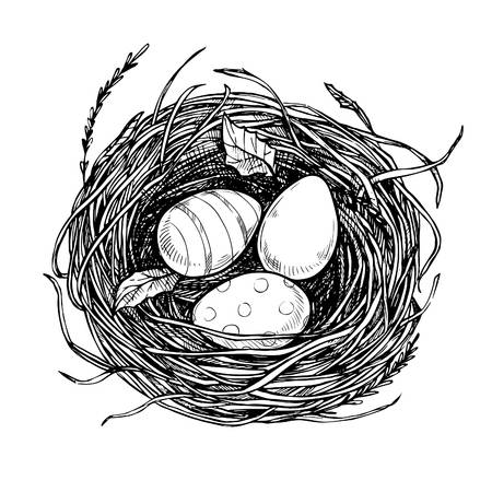 450x450 Drawn Egg Nest Drawing - Birds Nest Drawing
