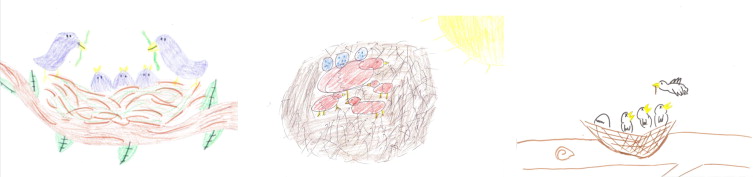 753x177 The Bird's Nest Drawing A Study Of Construct Validity - Birds Nest Drawing