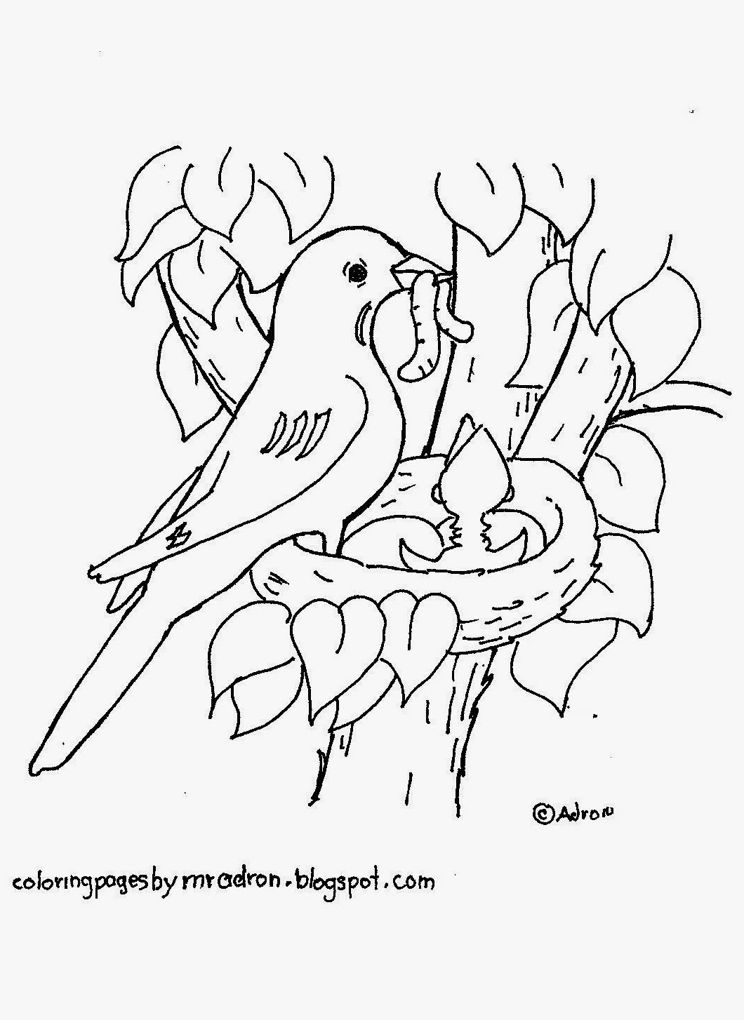 9300 Coloring Pages Bird In Nest  Images