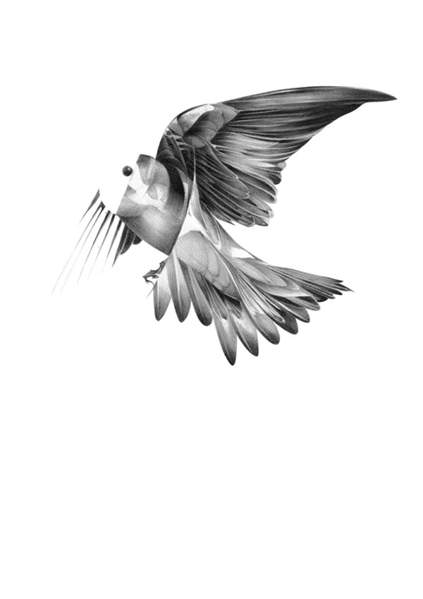 600x849 Pencil Drawings Semblance And Bird Series - Birds Pencil Drawing
