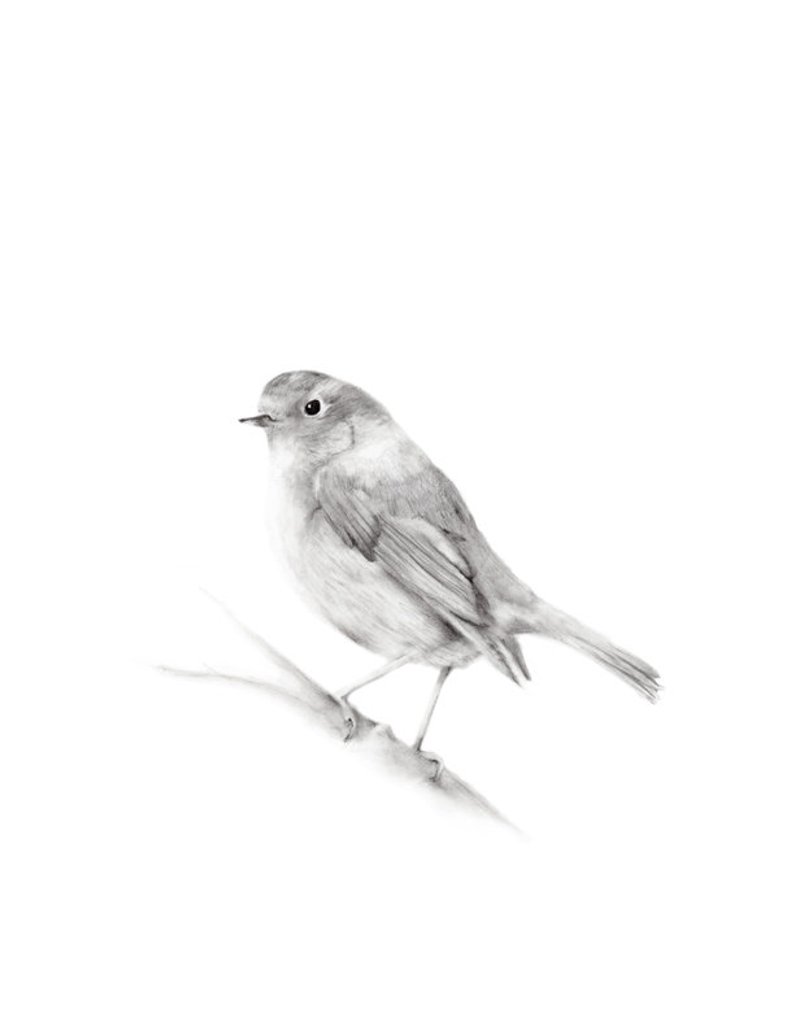 794x1028 Bird Pencil Drawing Bird Art Print Animal Drawing British Etsy - Birds Pencil Drawing