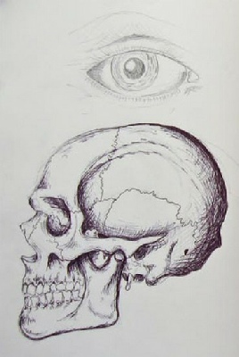 268x400 gallery - Biro Drawing